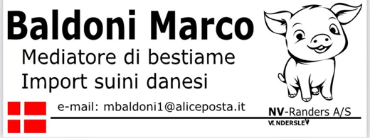 Baldoni Marco